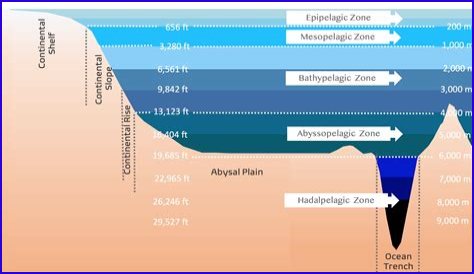 Exploring The Depths Of Art And Emotion