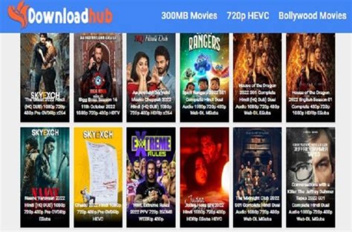 Discovering Movies: Is "DownloadHub Movies" the Right Path for You?
