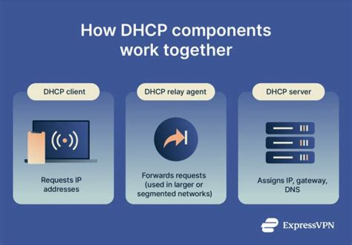 Exploring the Name Harold: A Look at Its Meaning and How It Connects to Parents' Choices
