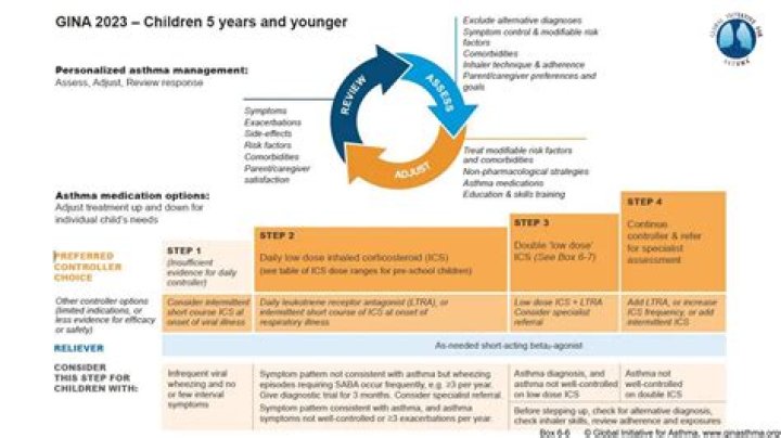 Gina Ravera Children: Exploring GINA Guidelines for Young Ones and Family Protections
