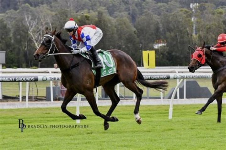 Lorenzo Luaces: The Unflappable Presence on the Field